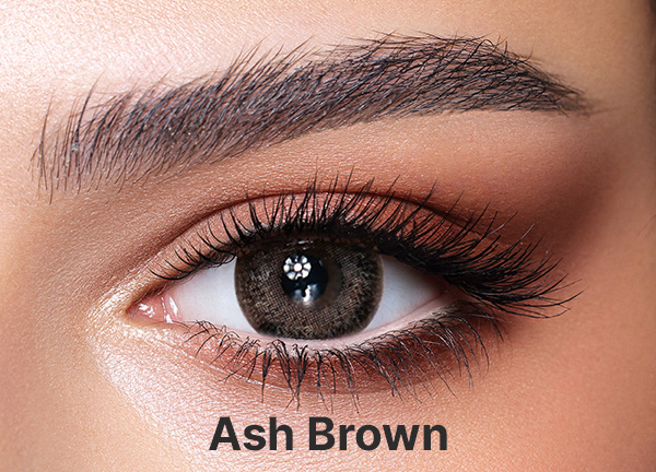 Bella One Day Ash Brown (10 Pack) - Gray Colored Contact Lenses - Power = -3