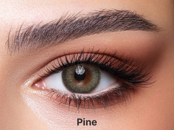 Bella One Day Pine (10 Pack) - Green Colored Contact Lenses - Power = -2.5