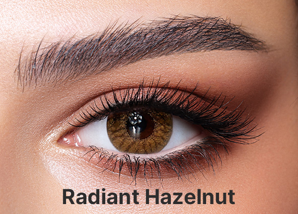 Bella One Day Radiant Hazelnut (10 Pack) - Honey Colored Contact Lenses - Power = -1