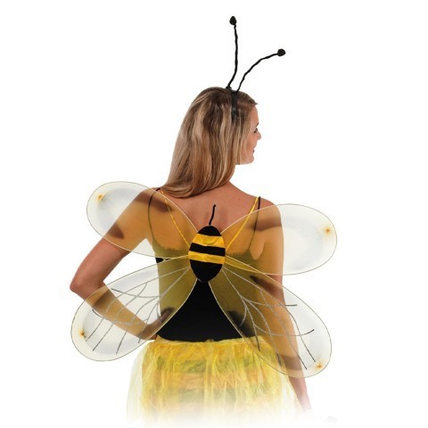 Bee Set Wings And Headband