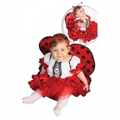 Ladybug 6-12M