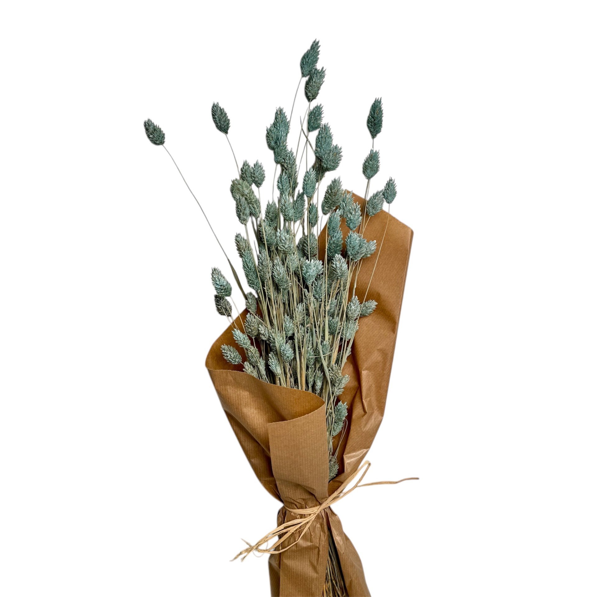 LIGHT BLUE COLOUR PHALARIS