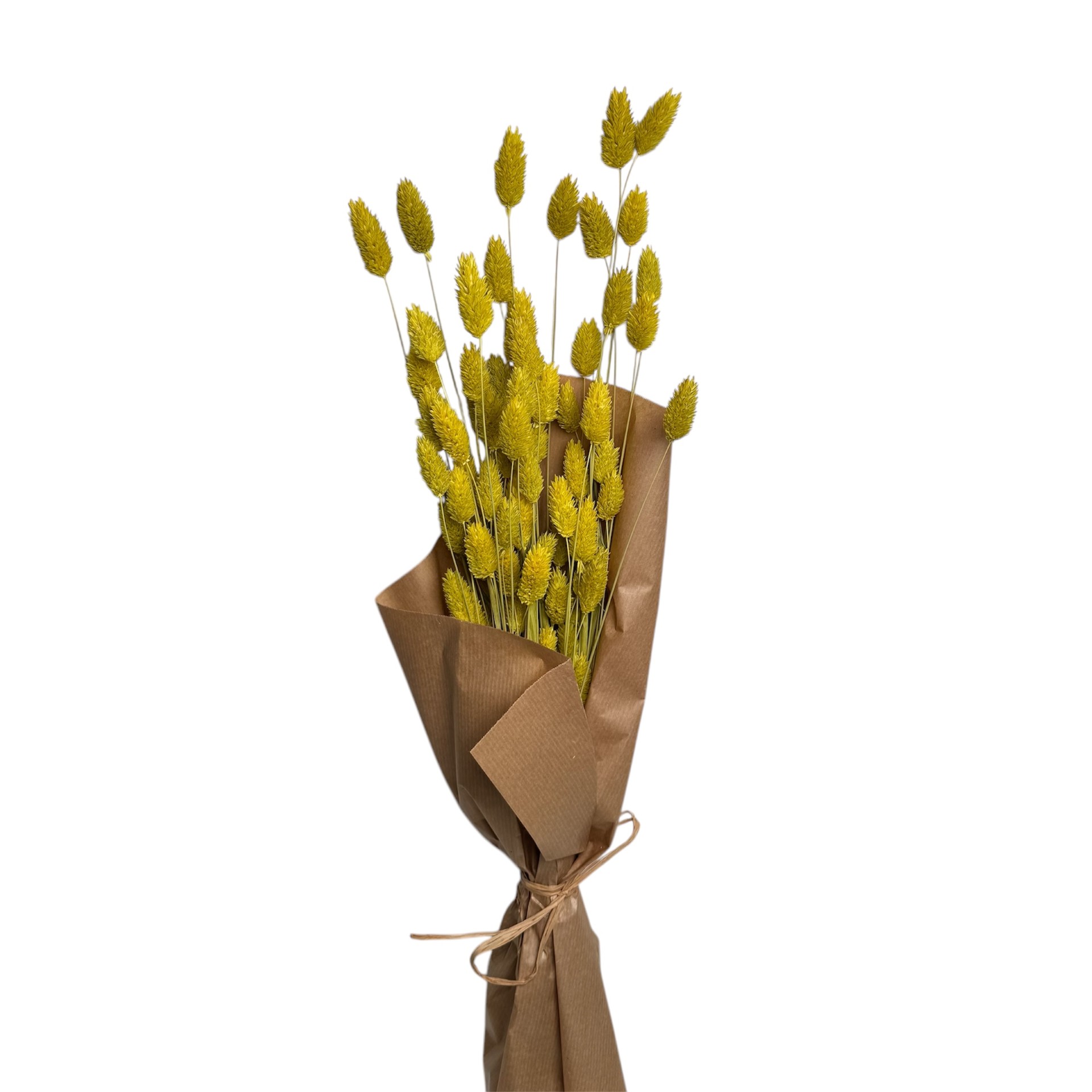 YELLOW COLOUR PHALARIS