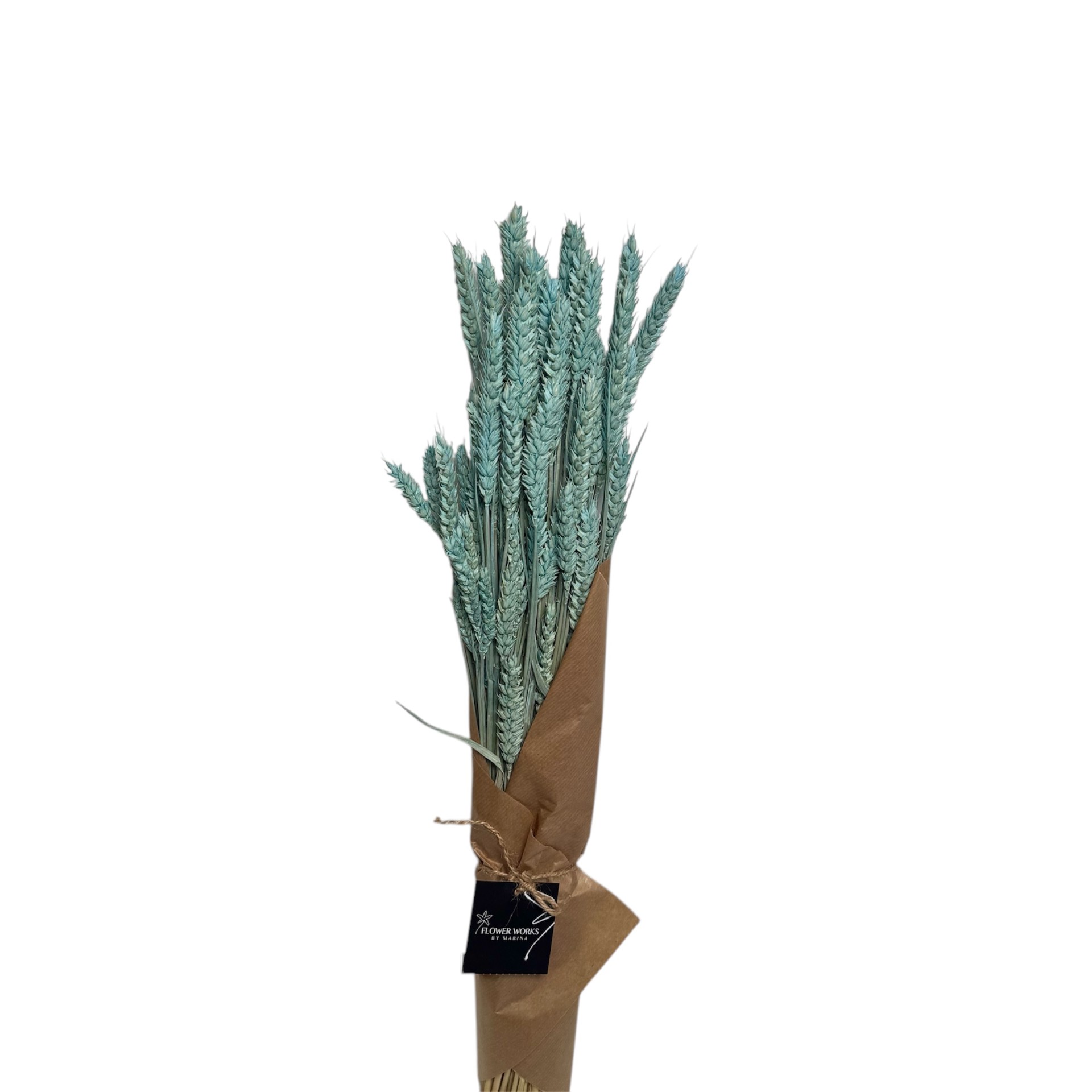 DRIED TRITICUM LIGHT BLUE 60CM