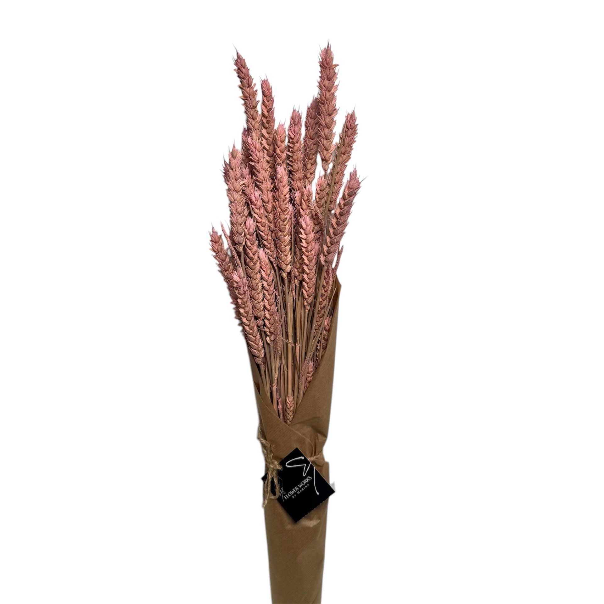 DRIED TRITICUM DUSTY PINK 60CM