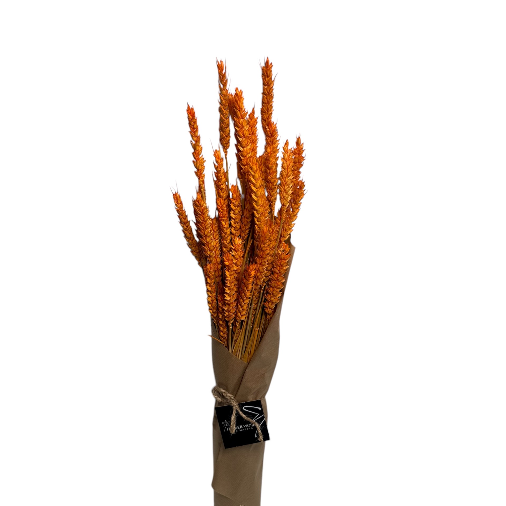 DRIED TRITICUM ORANGE 60CM