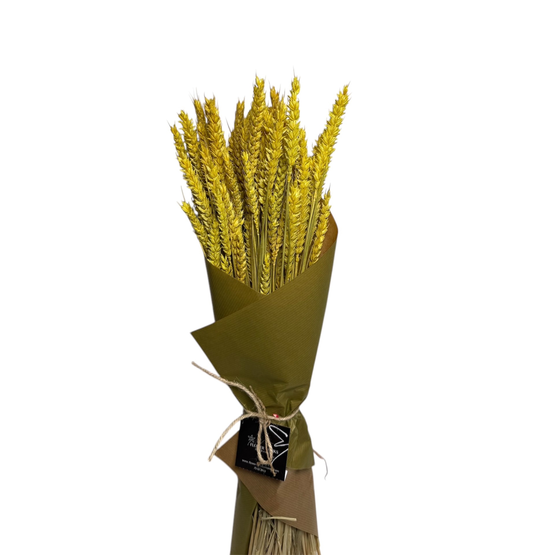 DRIED TRITICUM LIGHT YELLOW 60CM