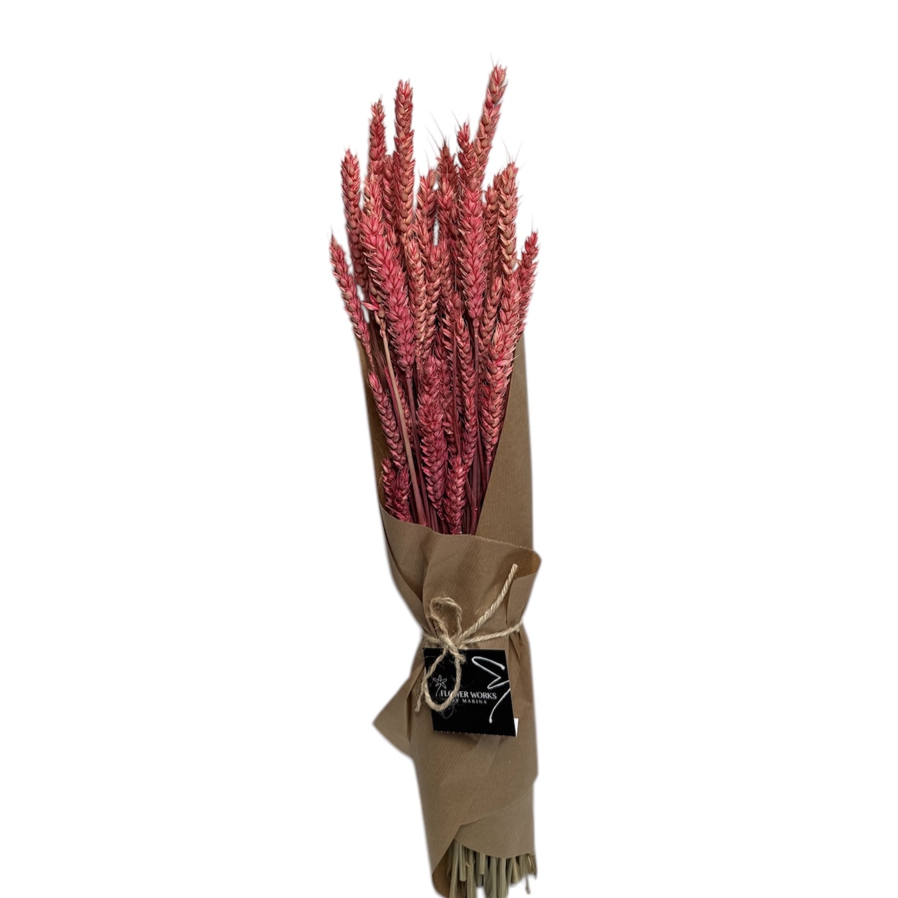 DRIED TRITICUM LIGHT RED 60CM