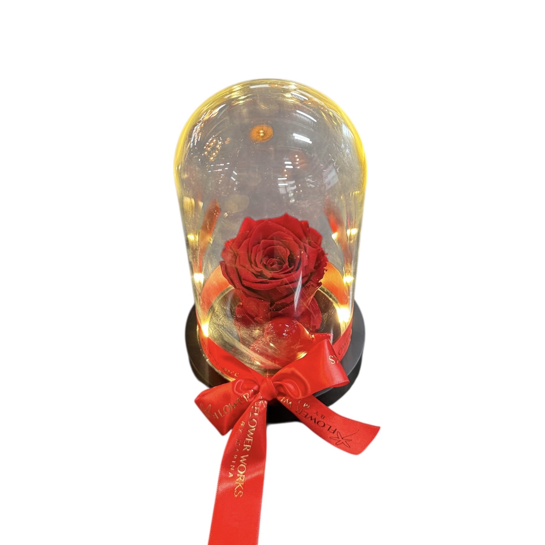 TIMELESS RED FOREVER ROSE IN DOME WITH LIGHTS