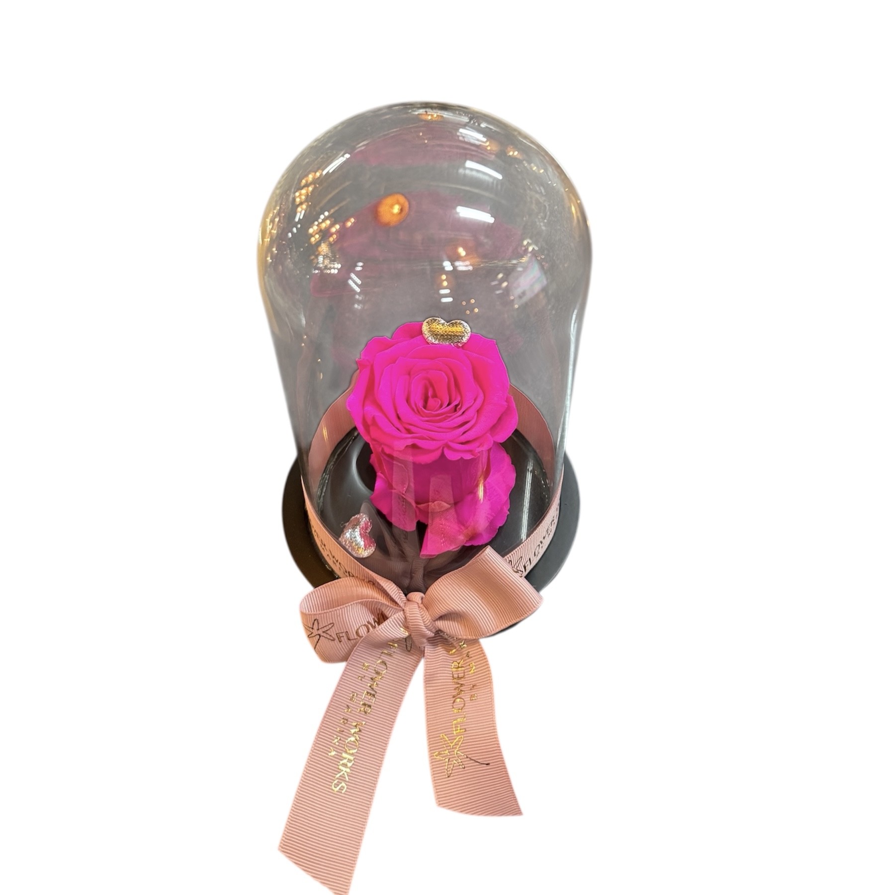 TIMELESS FUXIA FOREVER ROSE IN DOME