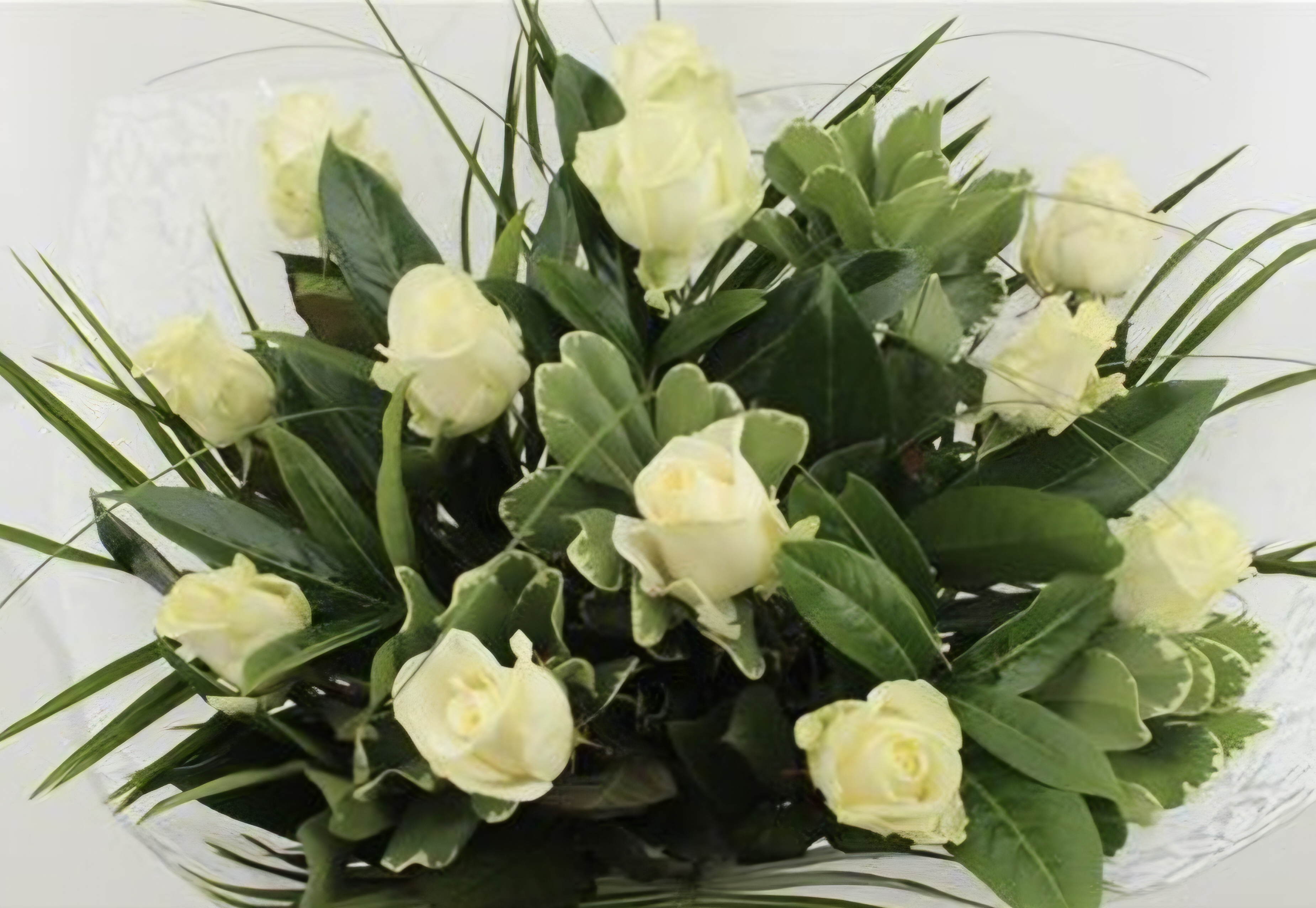 Bouquet White Roses 10 Roses