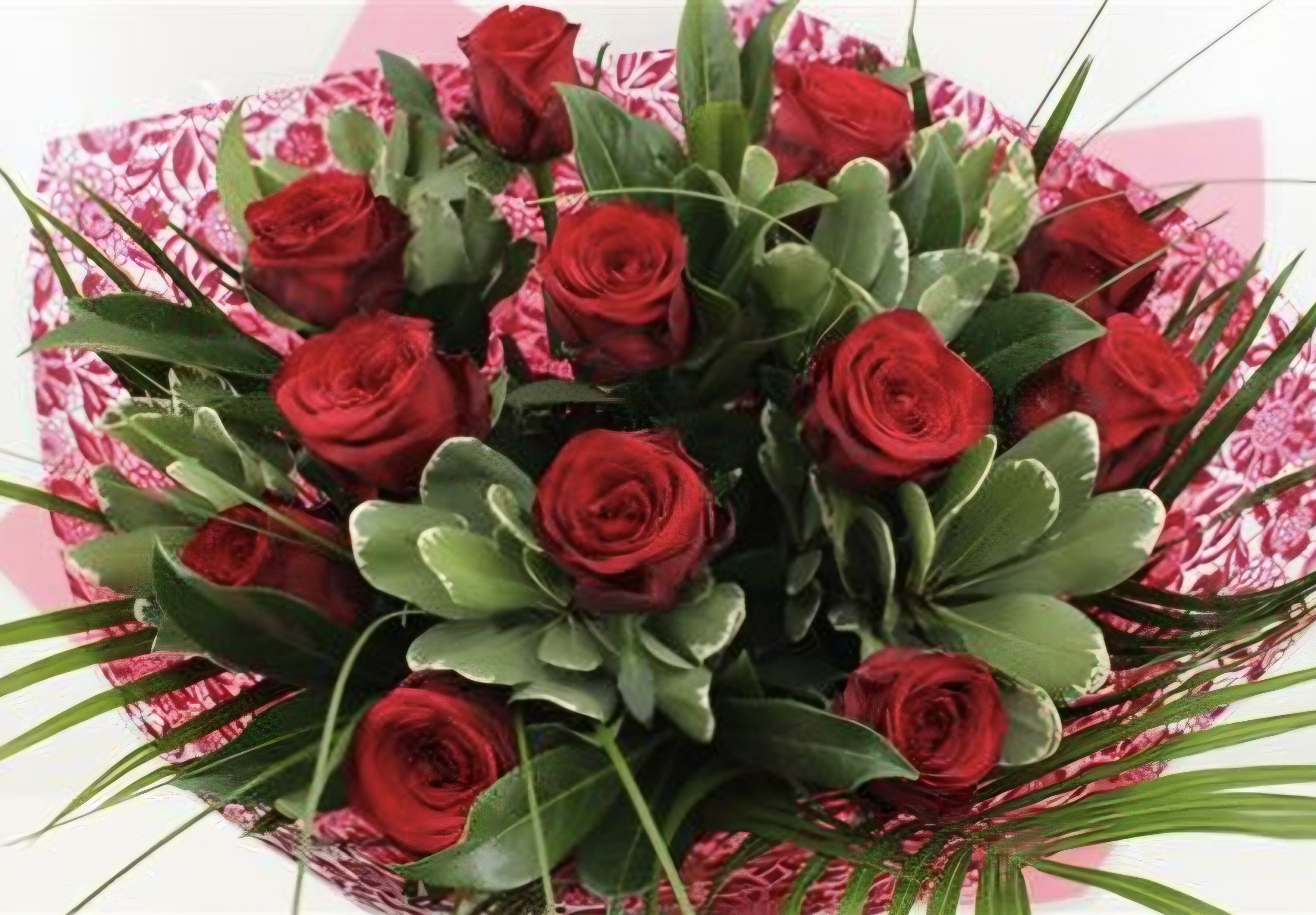 Bouquet Red Roses 12 Roses