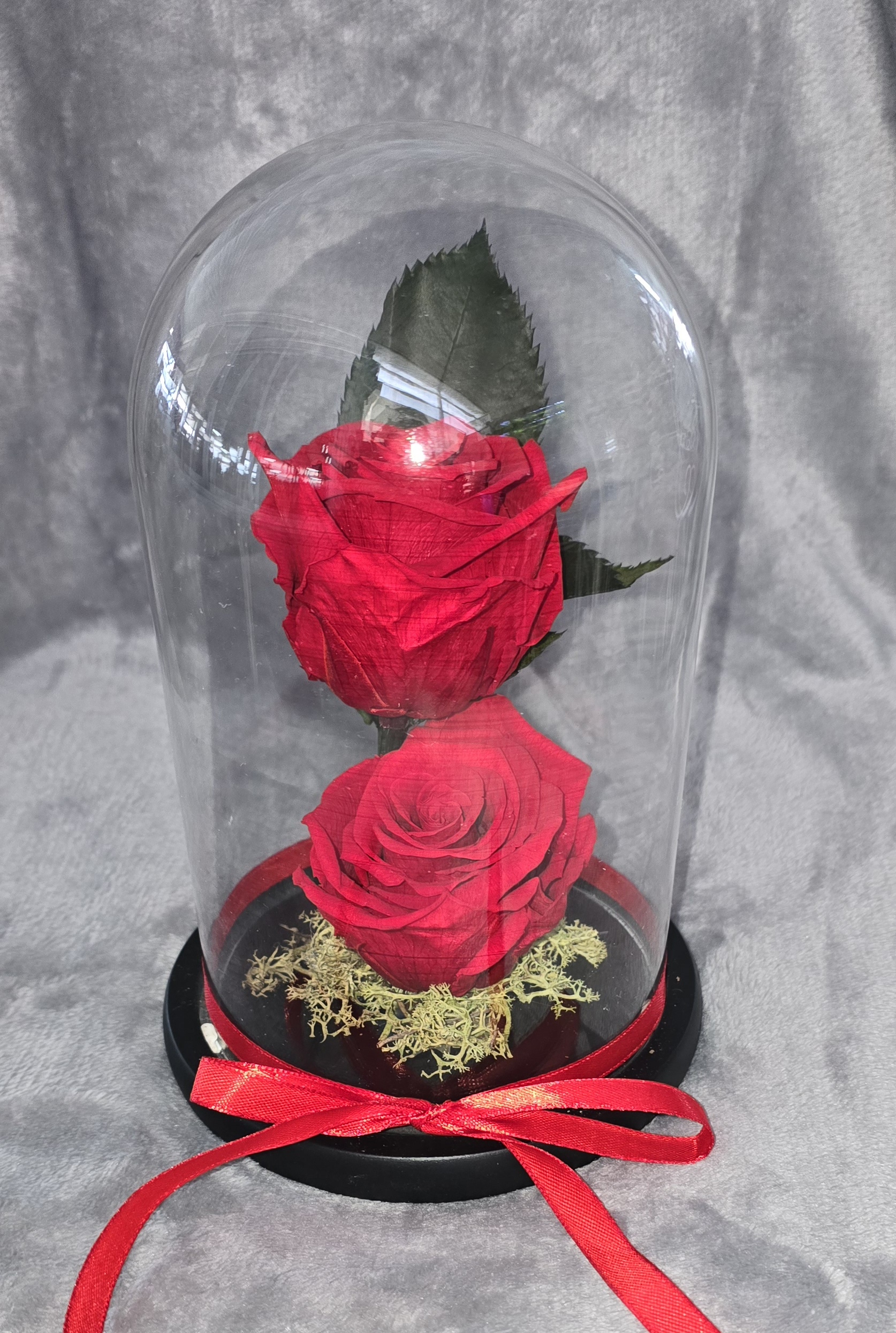 Forever Roses 2 Wooden Based Dome Red
