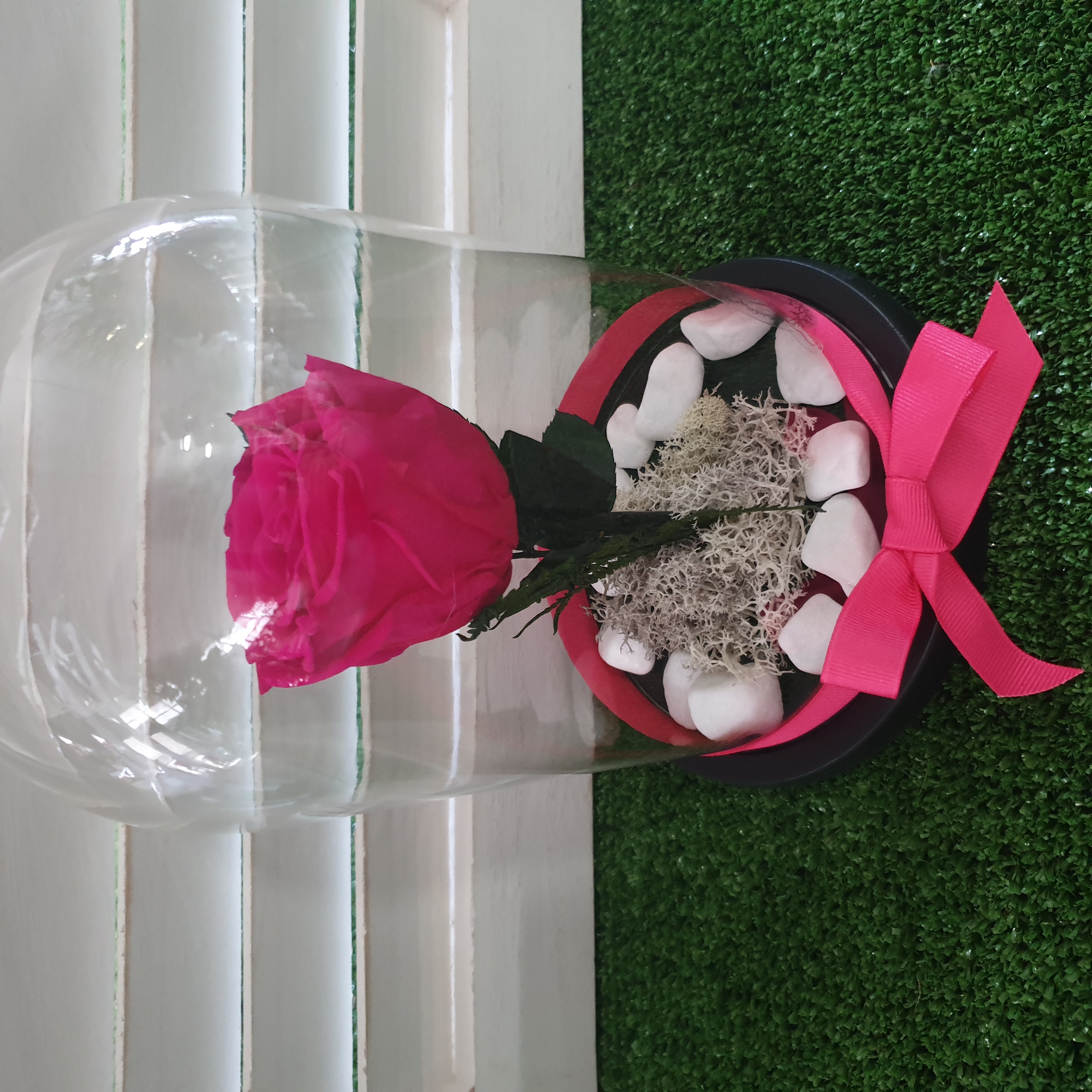 Forever Rose 1 Wooden Based Dome Fuxia