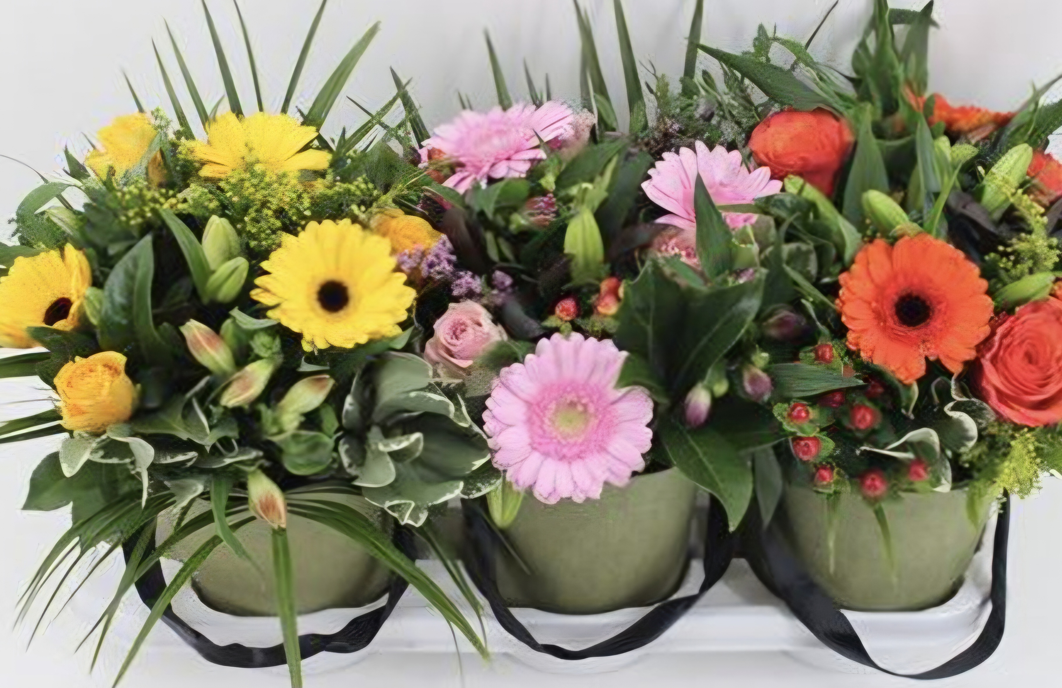 Flower Box Mixed Flowers Seasonal  With Splash Of Color Arrangement