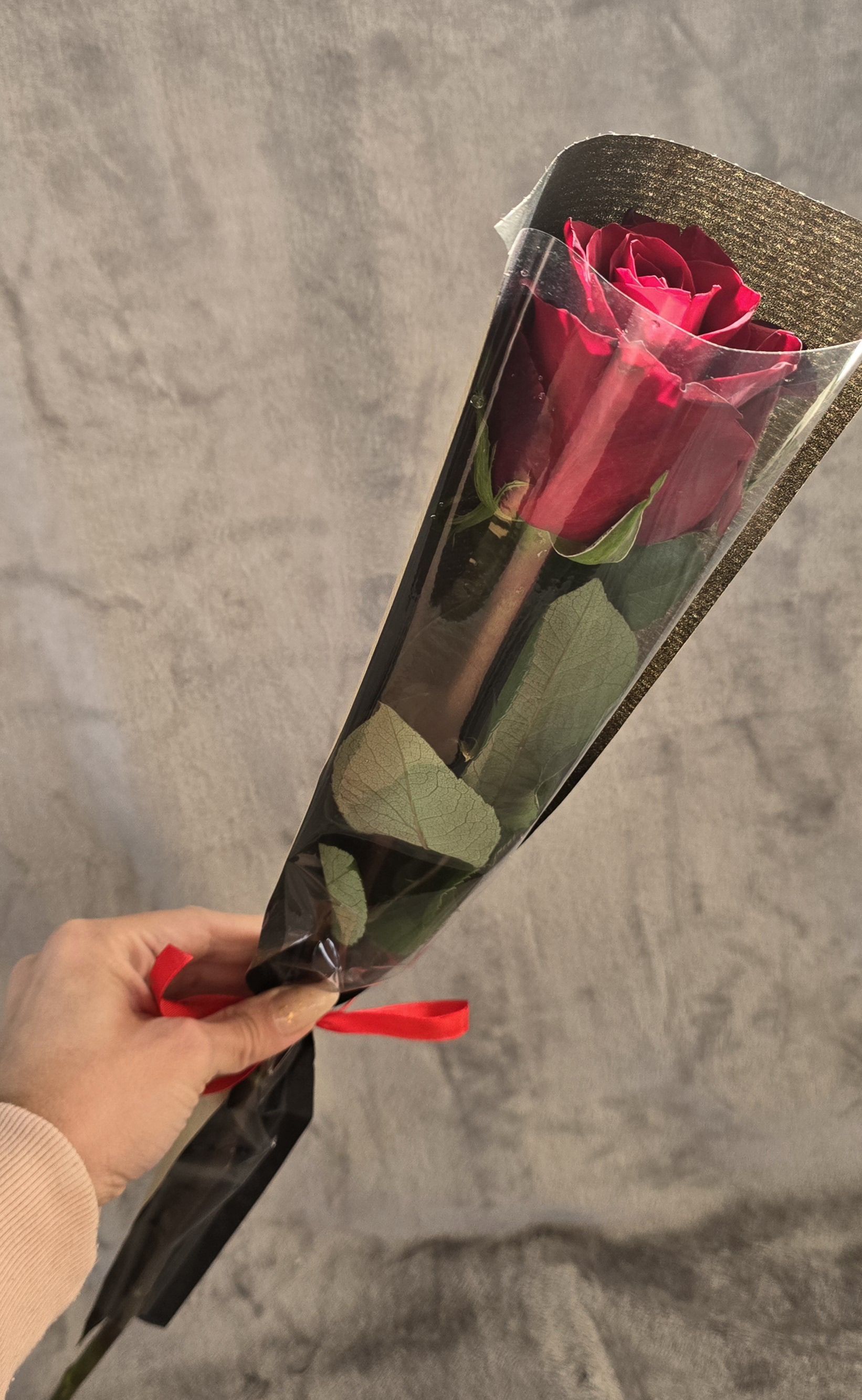 Single Red Rose In Sleeve