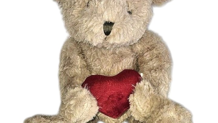 Fluffy Love Bears Teddy With Heart 22Cm