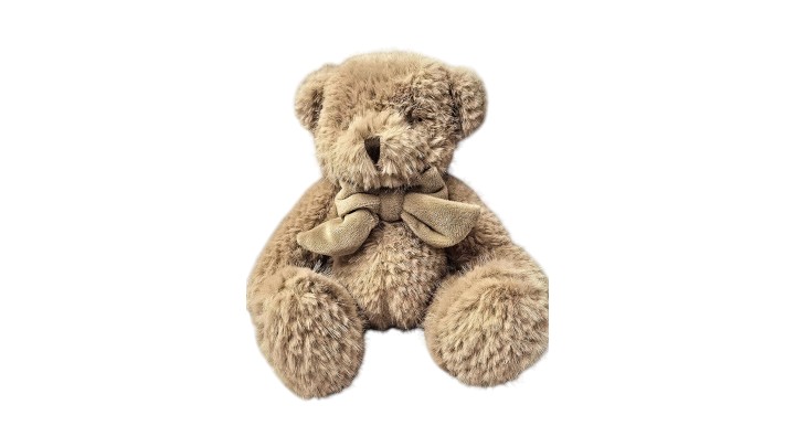 Teddy Bear Gift