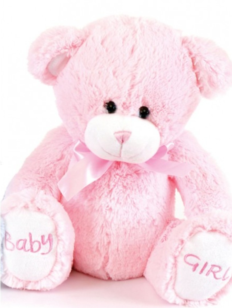 Teddy Bear New Born Gift Toy Girl 25cm