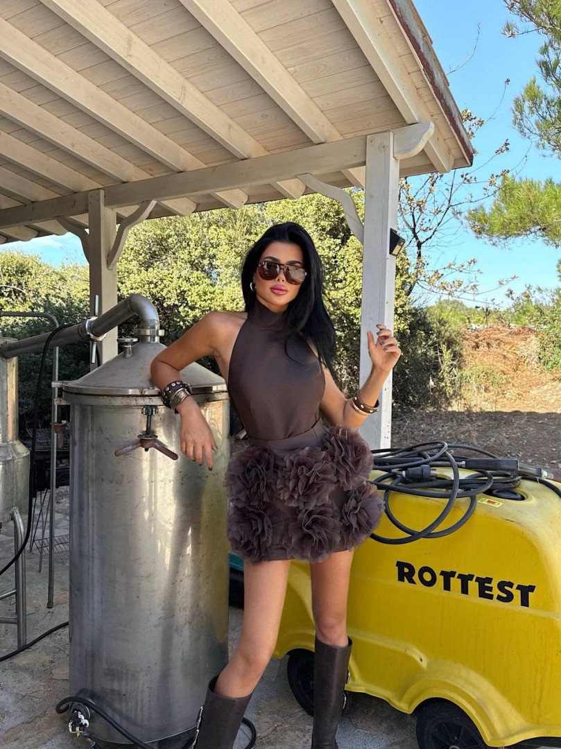 Elisia Roses Dress Brown Size: XS