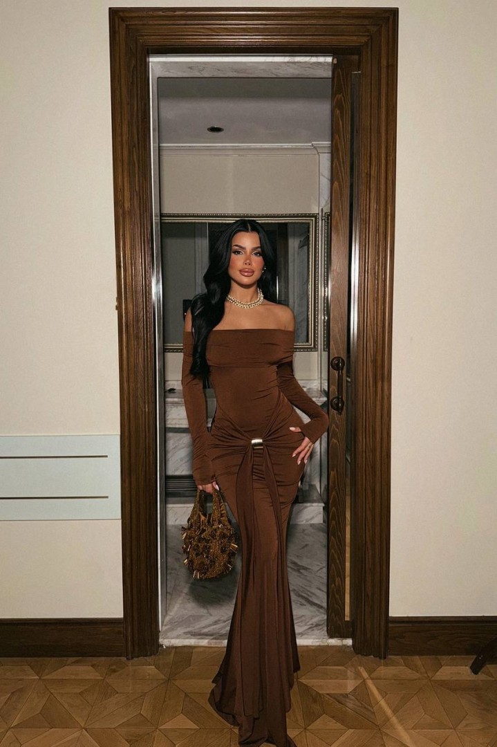 Fenia Long Sleeve Dress Brown Size: XS