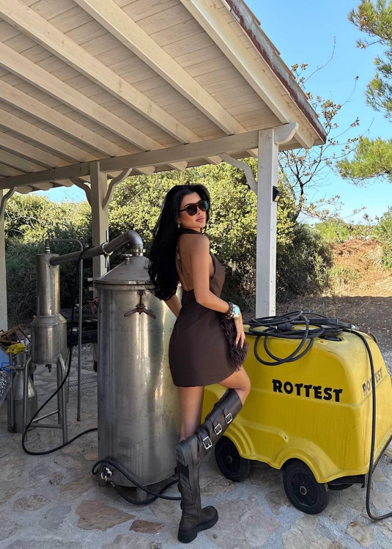 Elisia Roses Dress Brown Size: M