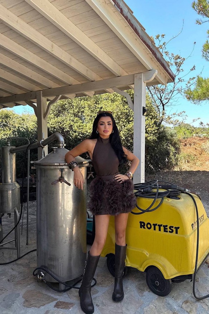 Elisia Roses Dress Brown Size: L