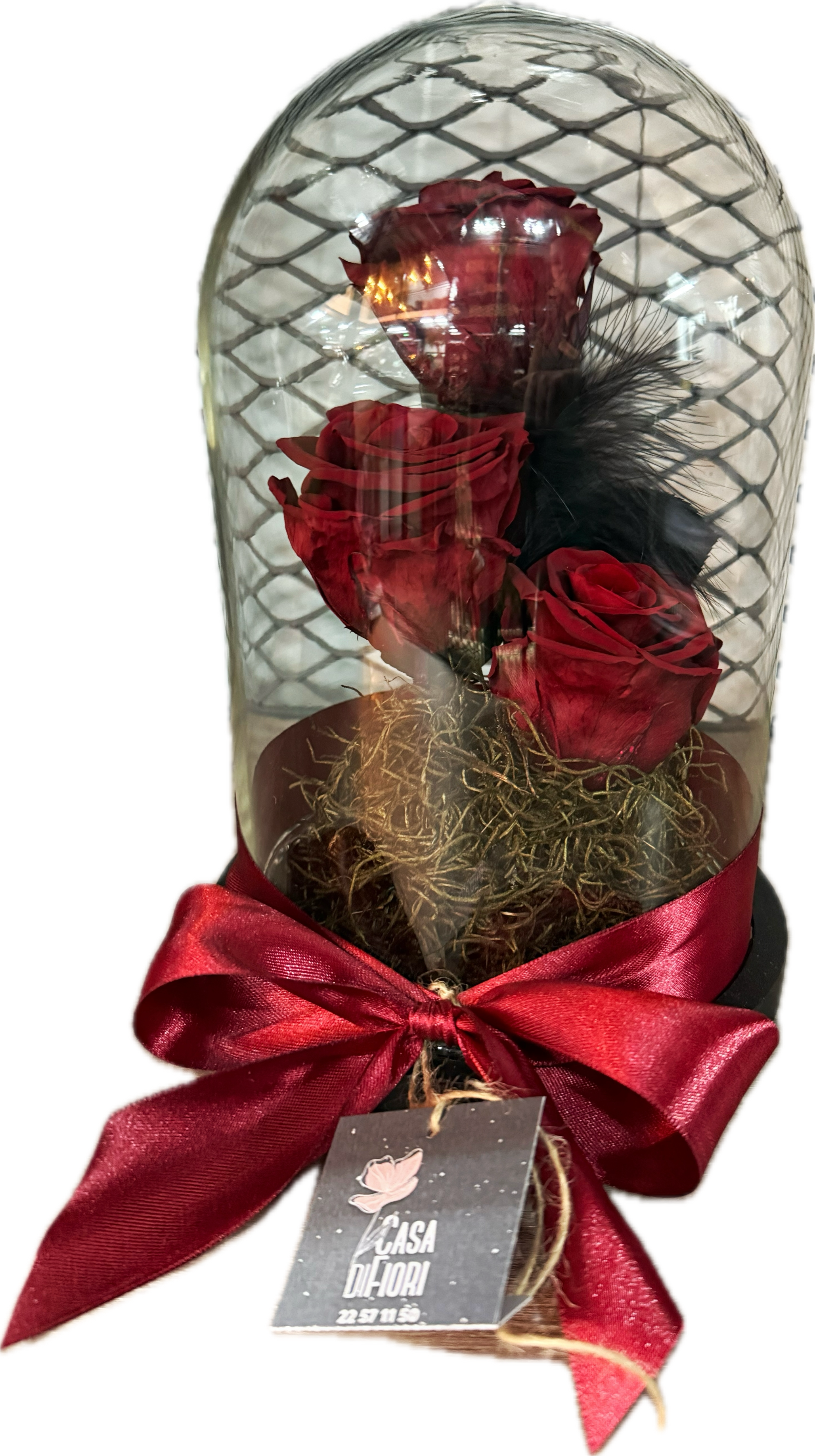 Preserved roses in glass dome