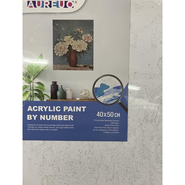 AUREUO ACRYLIC PAINT BY NUMBER STRETCHED CANVAS SET 40X50CM [POTTED PLANT]