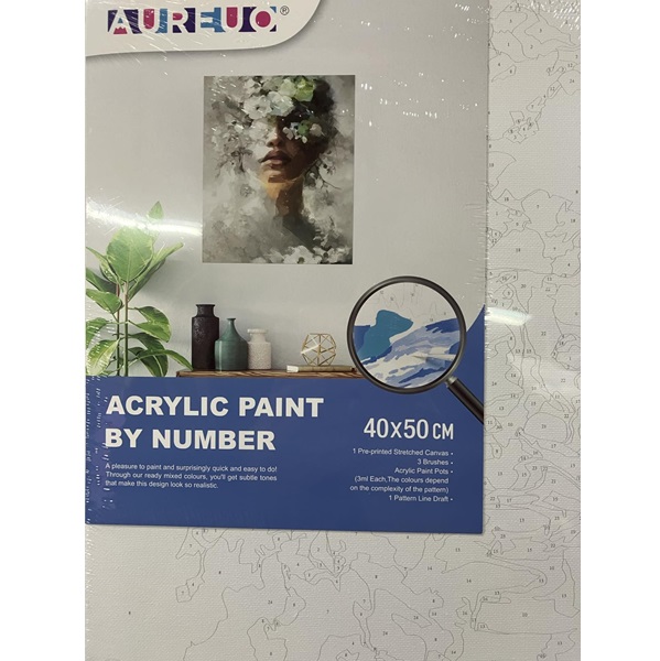 AUREUO ACRYLIC PAINT BY NUMBER STRETCHED CANVAS SET 40X50CM [VEILED WOMAN]