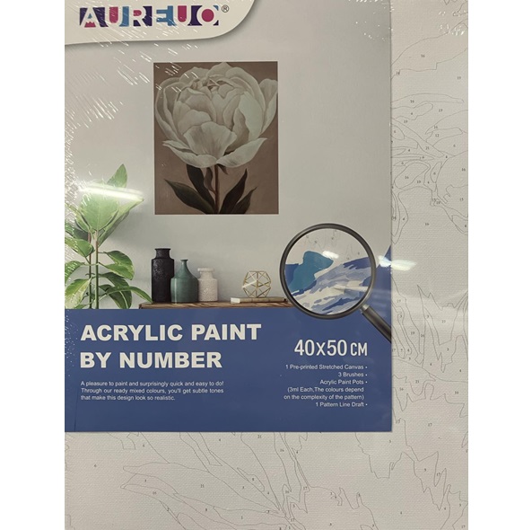 AUREUO ACRYLIC PAINT BY NUMBER STRETCHED CANVAS SET 40X50CM [WHITE BLOSSOM]