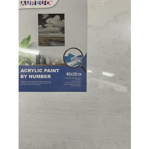 AUREUO ACRYLIC PAINT BY NUMBER STRETCHED CANVAS SET 40X50CM [NIGHTFALL]