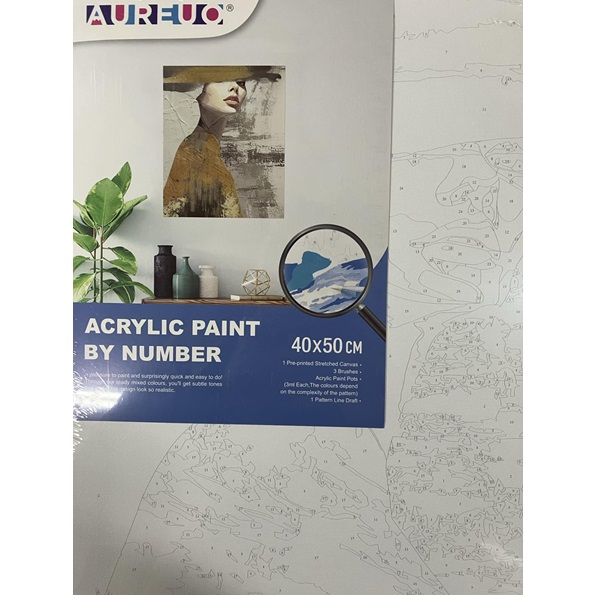 AUREUO ACRYLIC PAINT BY NUMBER STRETCHED CANVAS SET 40X50CM [WOMAN WEARING A HAT]