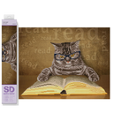 Diamond Dotz I Can Read