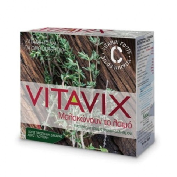 Vitavix Hameopatic Pastilles 45G
