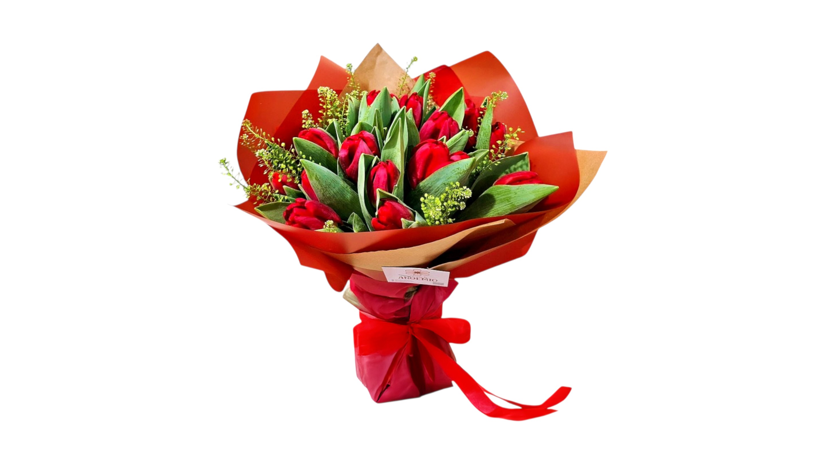 Premium Red color tulips