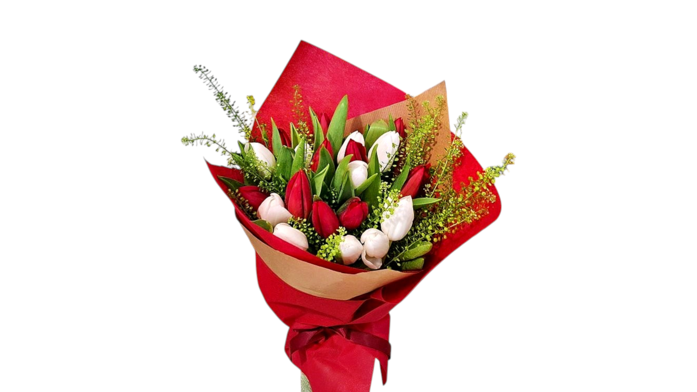 Premium Red & White Tulips bouquet