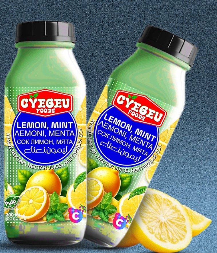 Lemon with Mint  Fruit Drink 300ML /24 Bottel (CyEgEu.Foods)