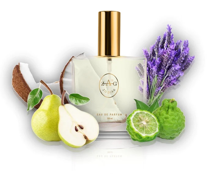 ZAG Zodiak 552 CL - CLOUD - 50ML