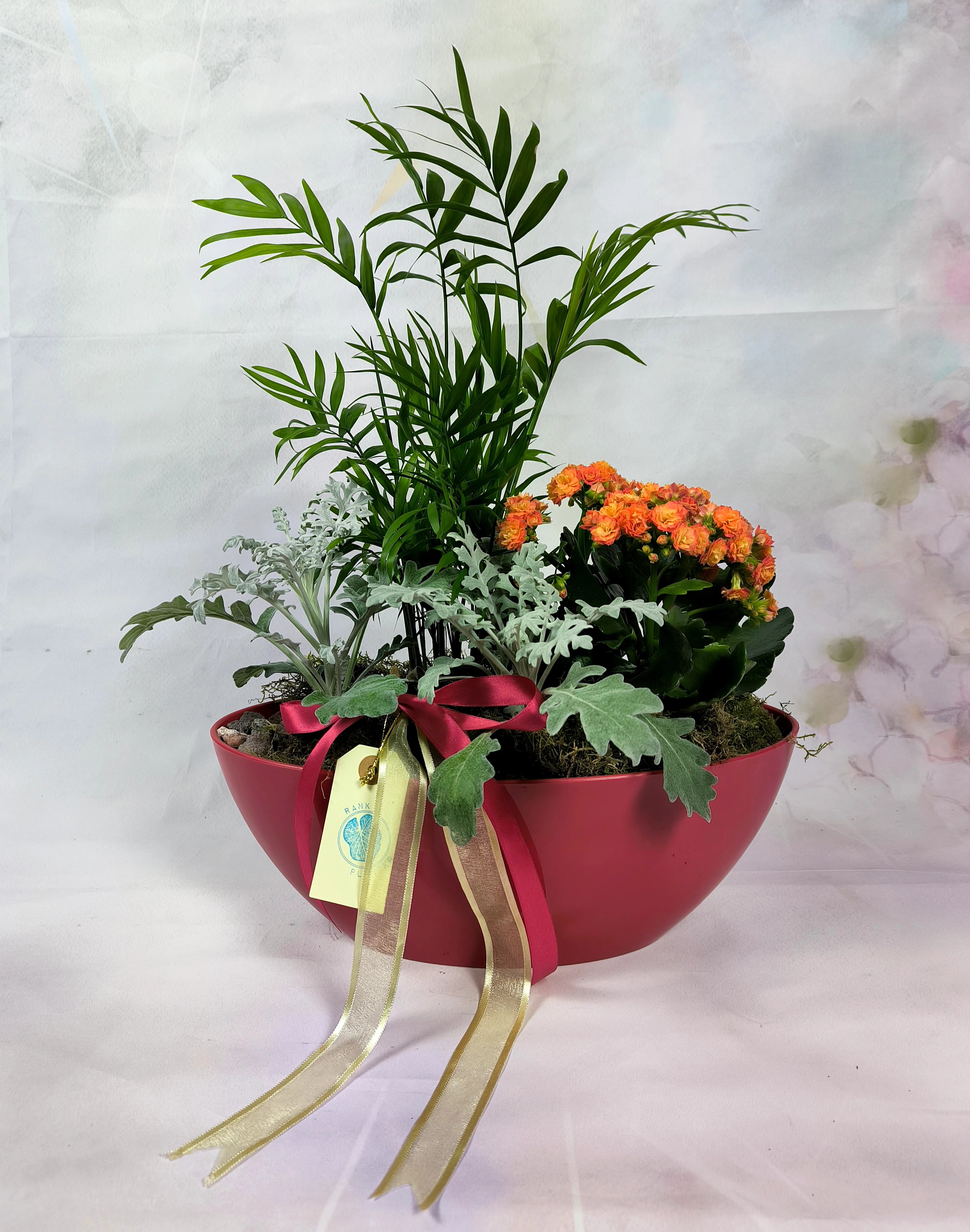 Plant Arrangement in Red Boat shape pot