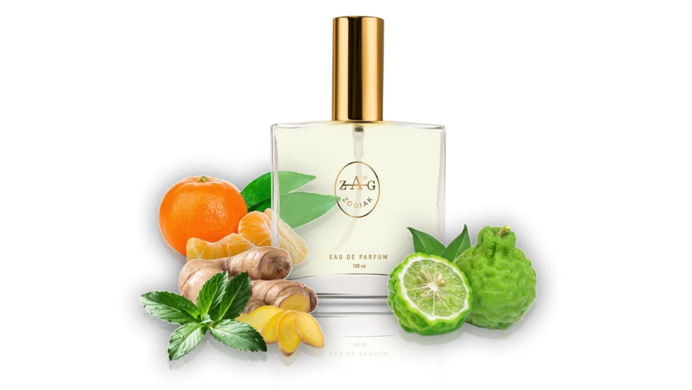 ZAG Zodiak 248 TS - THE SCENT 50ML