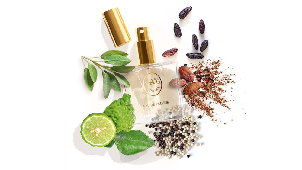 ZAG Zodiak 260 BB - BAD BOY 50ML