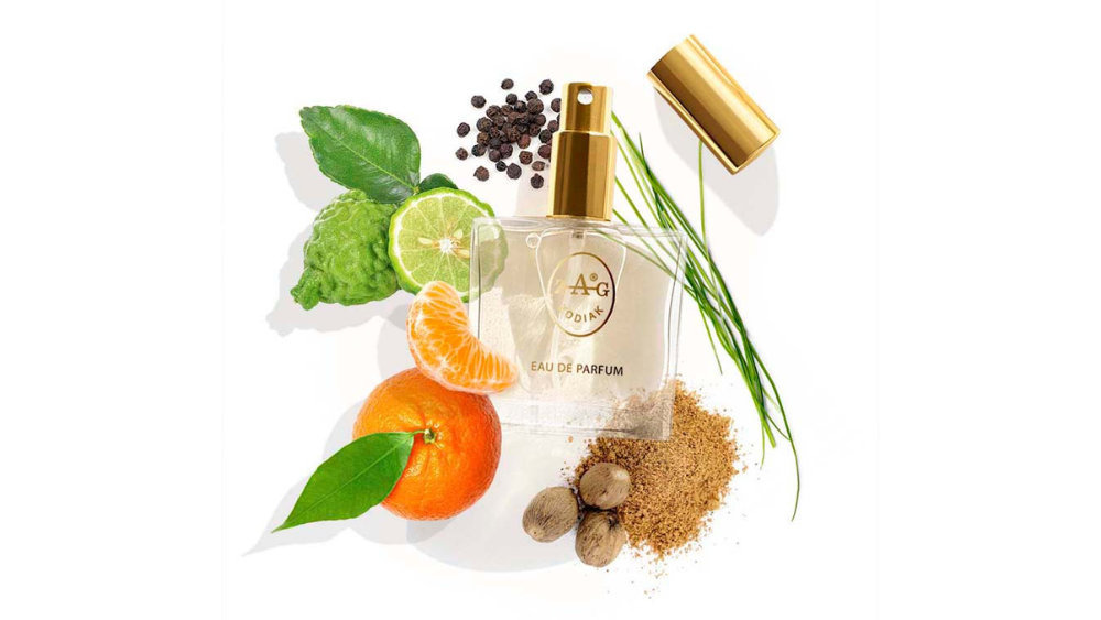 ZAG Zodiak 264 MS - MERCEDES BENZ 50ML