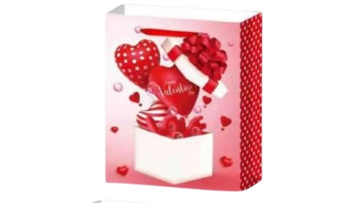 Gift bag happy valentines day
