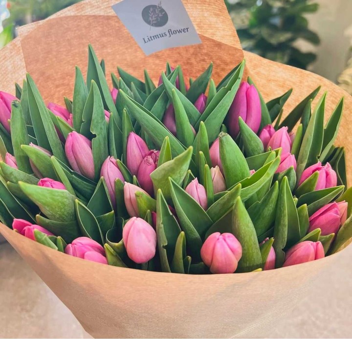 Bouquet of 15 Tulips