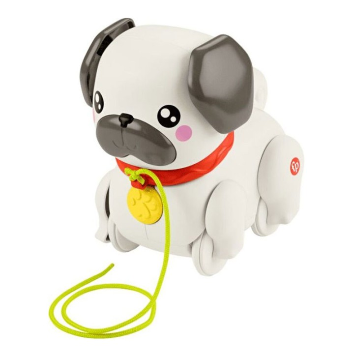 Fisher-Price Fisher Price Syromeno Skylaki Pug Htw94  9+ years