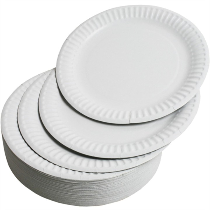 Class Paper Plates 23Cm 100Pcs