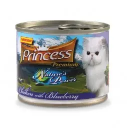 Princess Premium Nature'S Power Blueberry - 200G