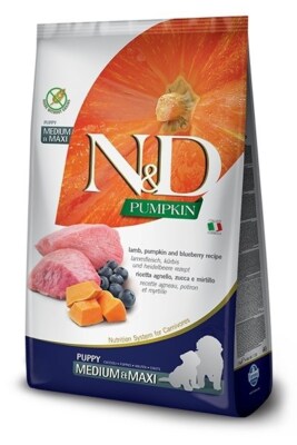 Farmina N&D Pumpkin Dog - Lamb & Blueberry Puppy Medium & Maxi 12Kg