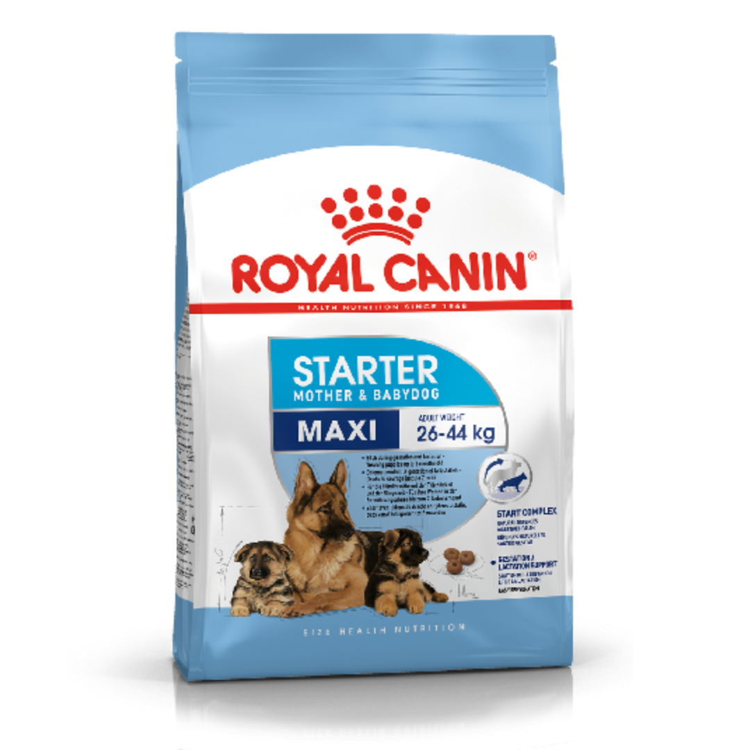 Royal Canin Maxi Starter - 4 Kg